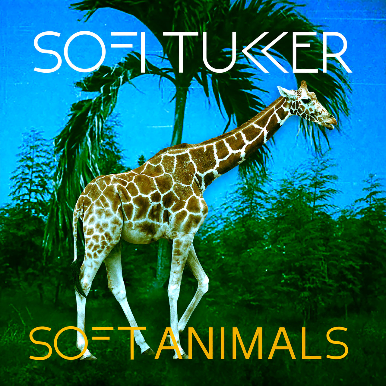 Sofi Tukker Soft Animals cover artwork