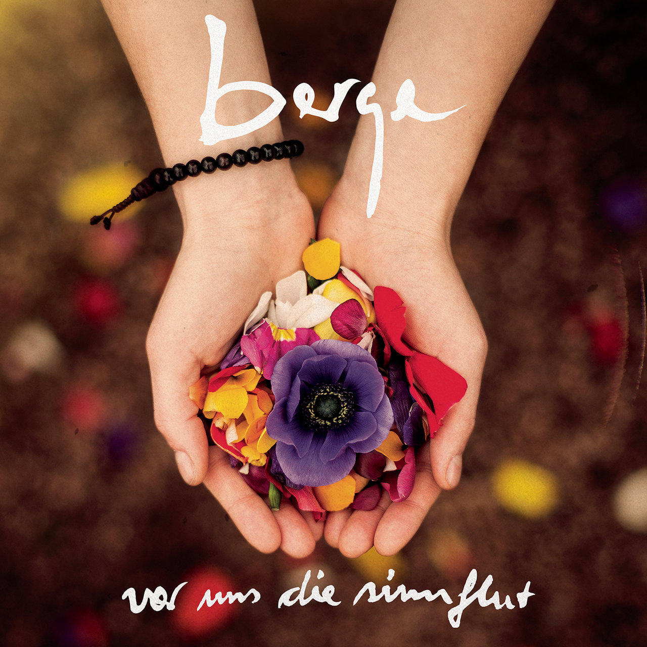 Berge Vor uns die Sinnflut cover artwork