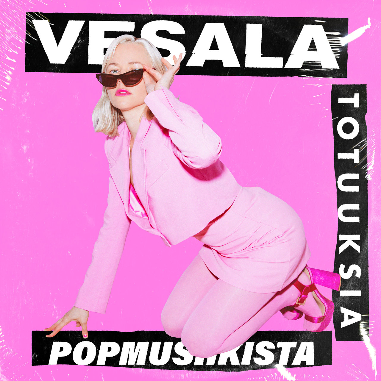 Vesala Totuuksia popmusiikista cover artwork