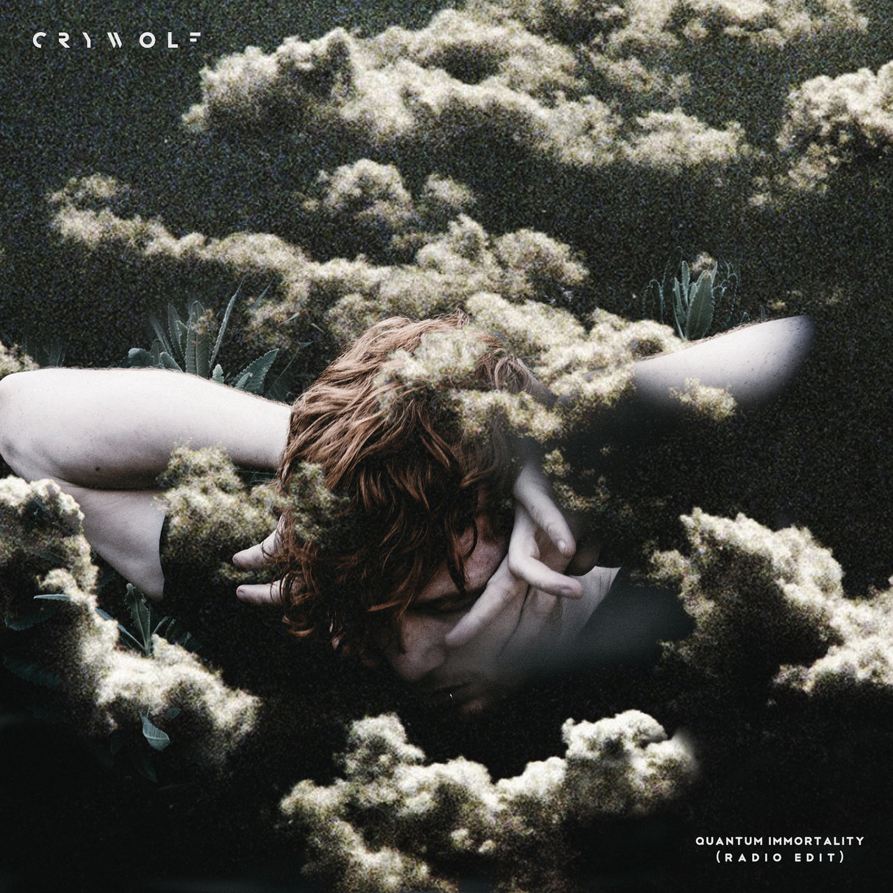 Crywolf — Quantum Immortality cover artwork