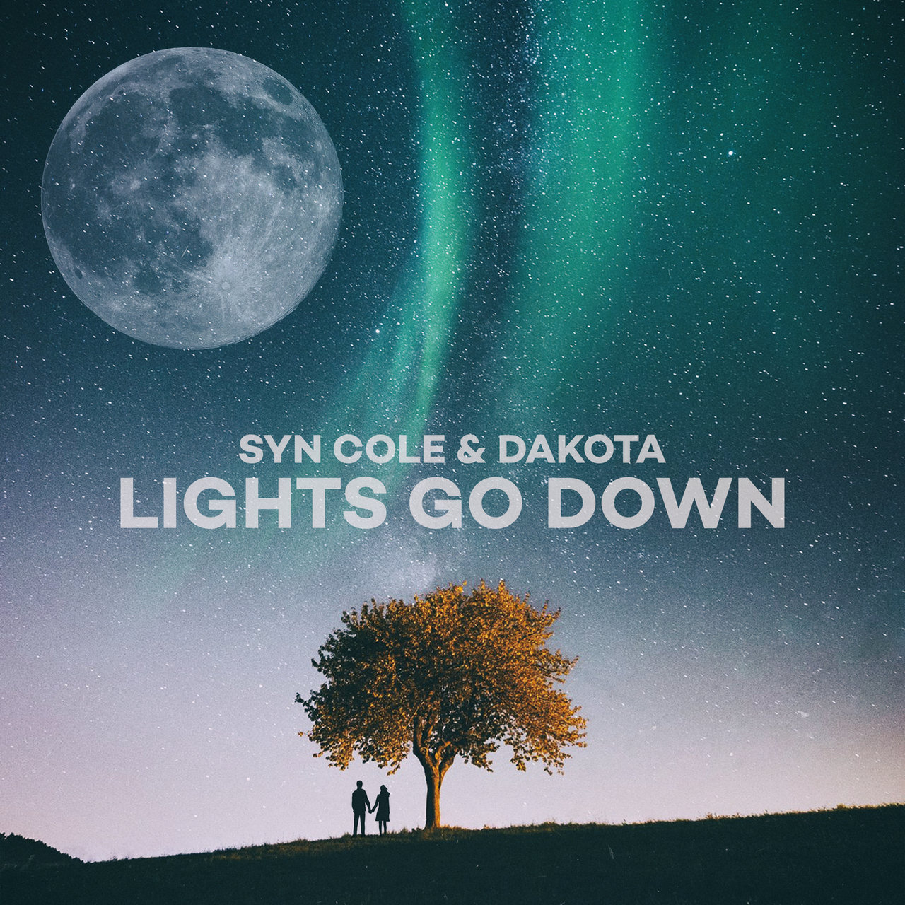 Syn Cole & Dakota Lights Go Down cover artwork