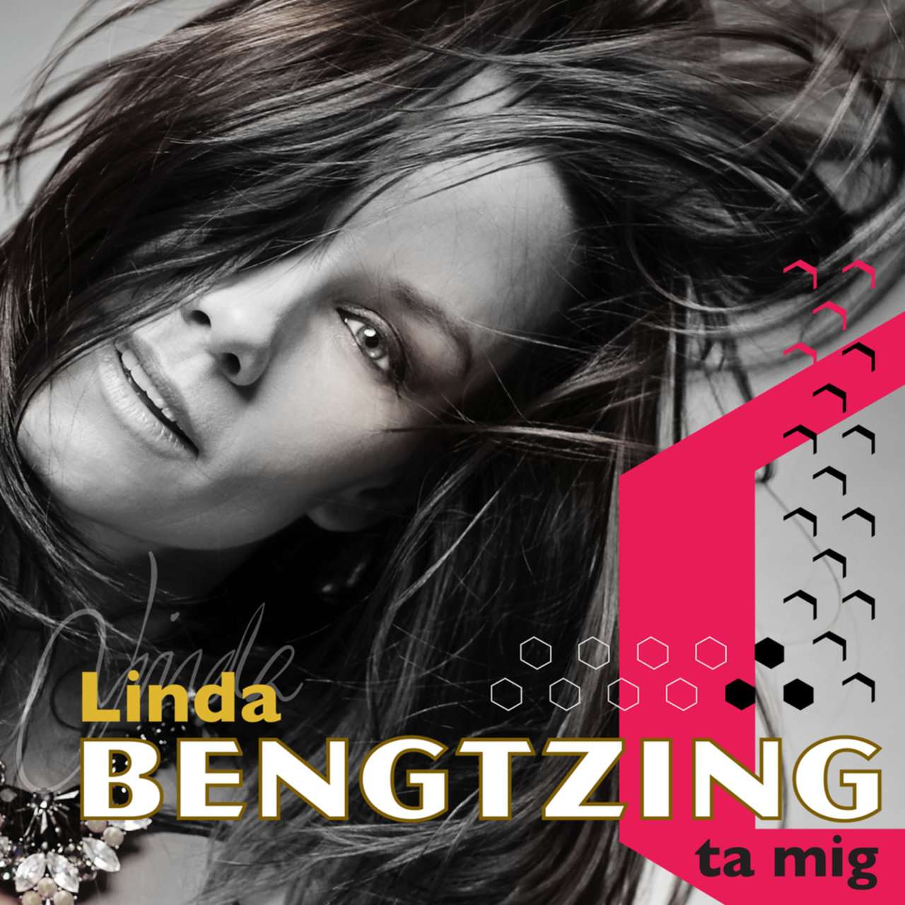 Linda Bengtzing Ta mig cover artwork