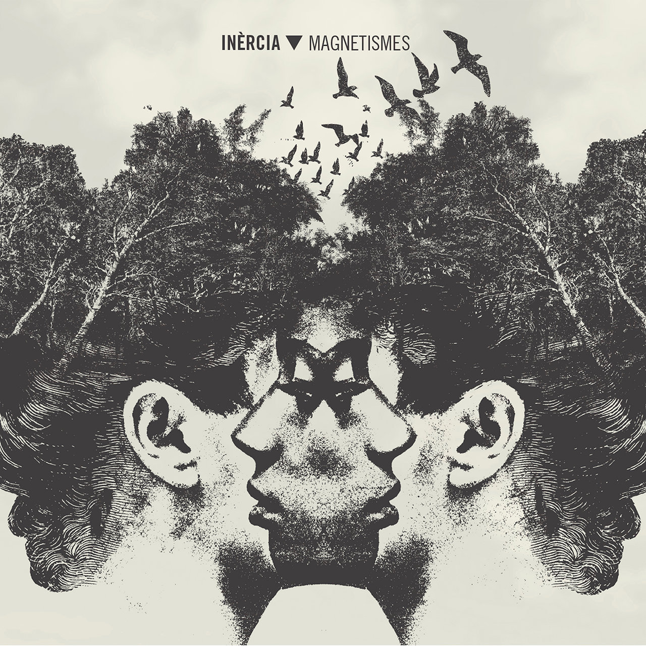 Inèrcia — Venim del Fred cover artwork