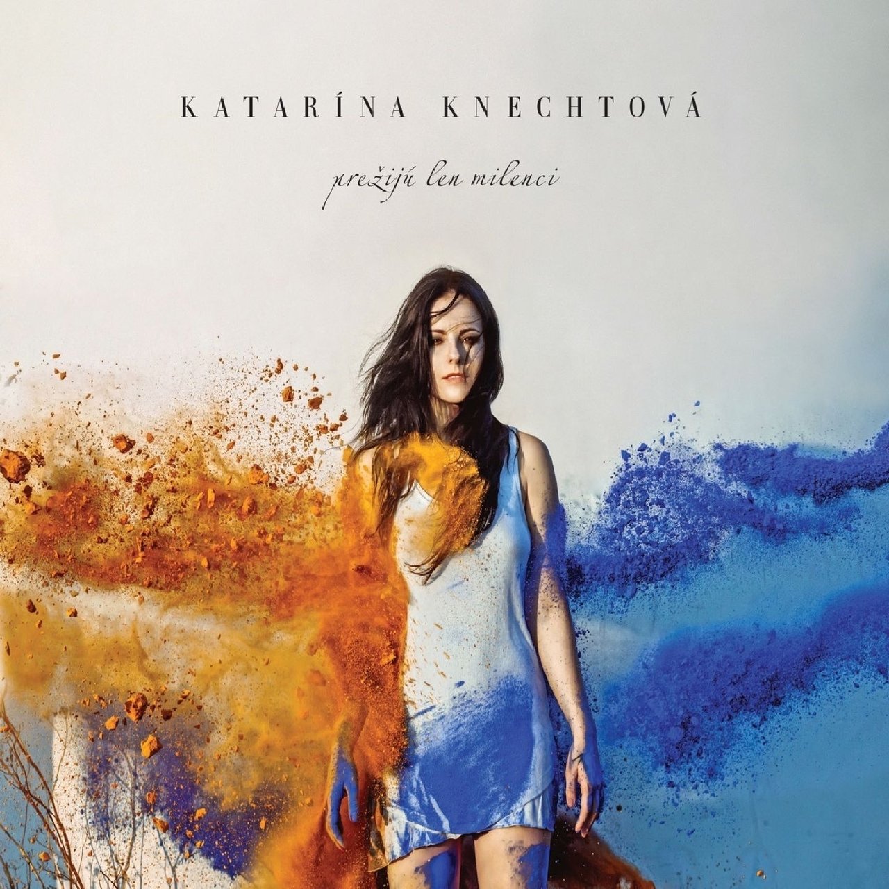 Katarína Knechtová — Bezpečné priepasti cover artwork