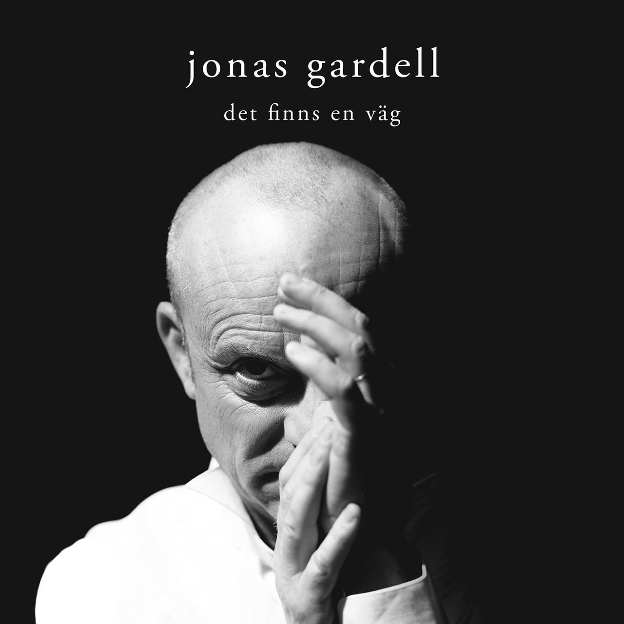 Jonas Gardell — Det finns en väg cover artwork