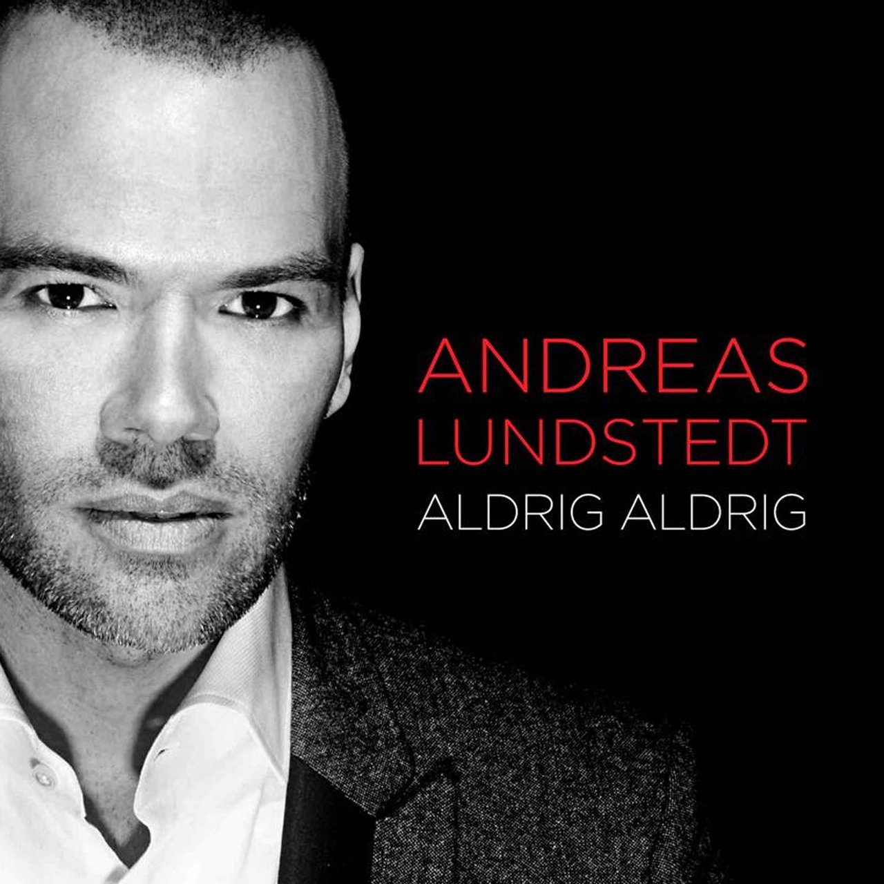 Andreas Lundstedt — Aldrig aldrig cover artwork