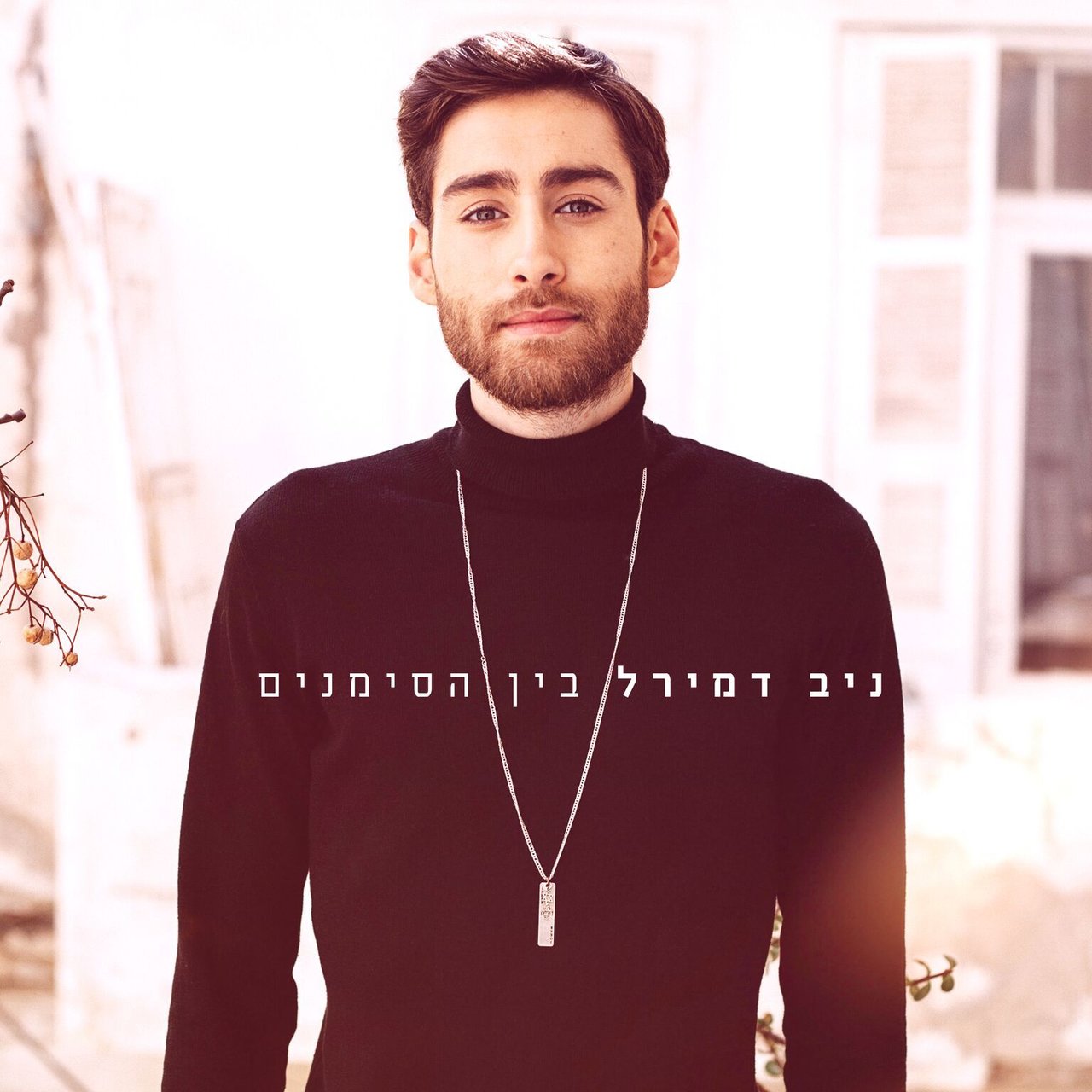 Niv Demirel Bein Hasimanim cover artwork