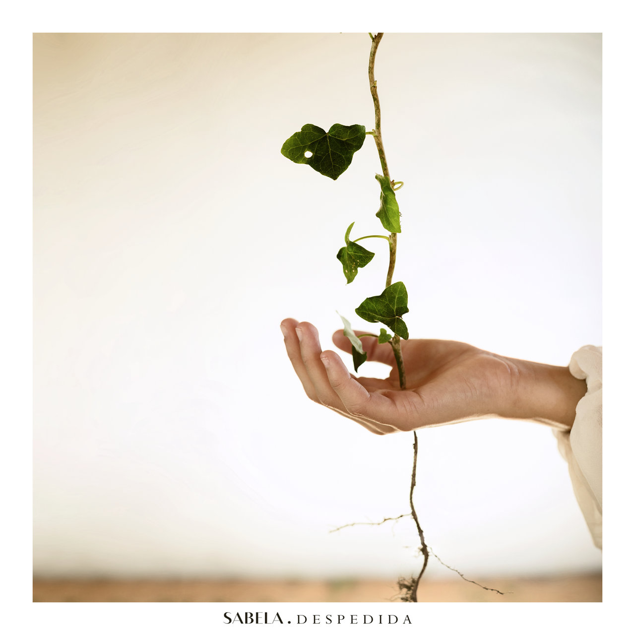 Sabela — Despedida cover artwork