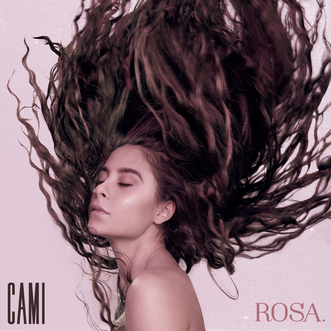 Cami Rosa cover artwork