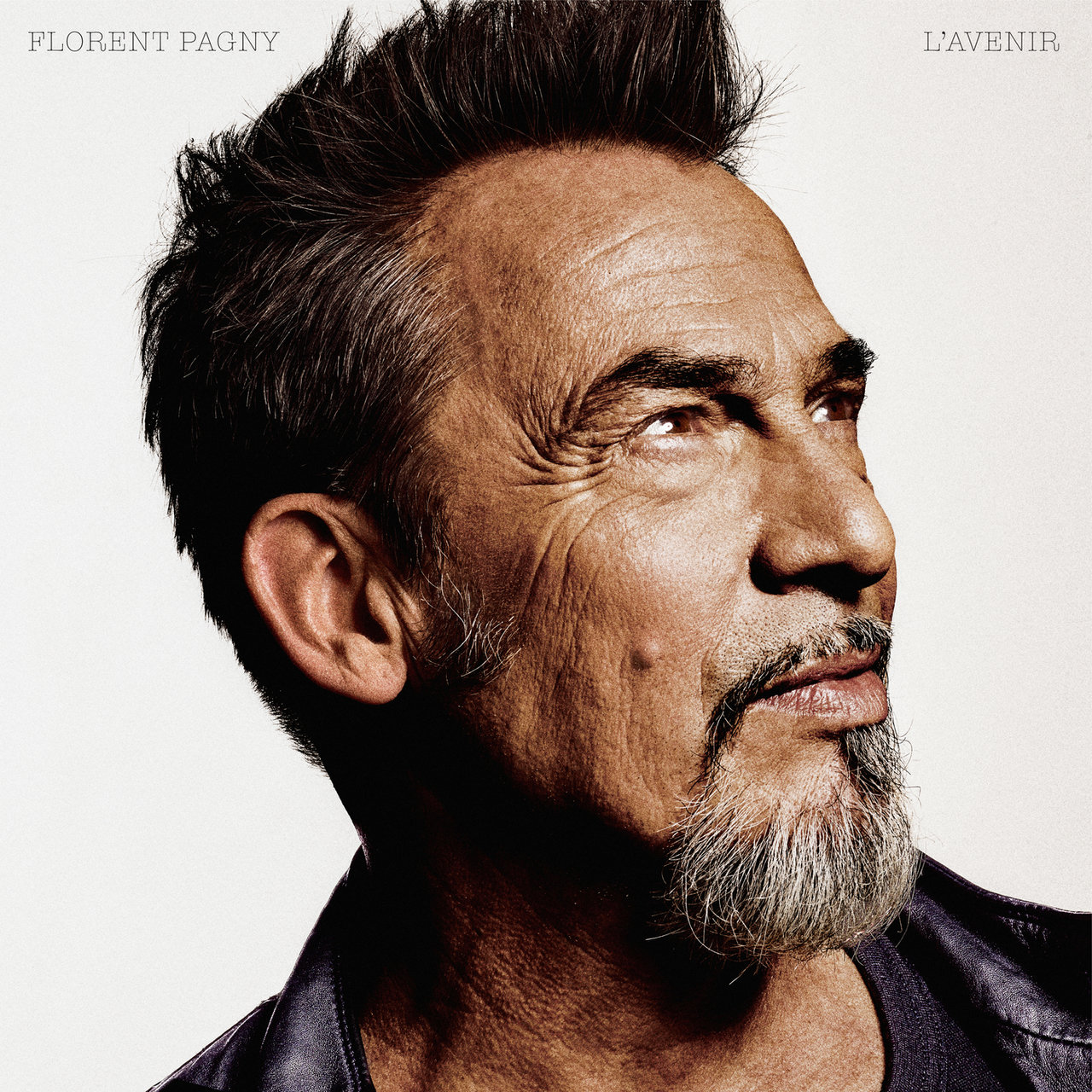 Florent Pagny — L&#039;idéal cover artwork