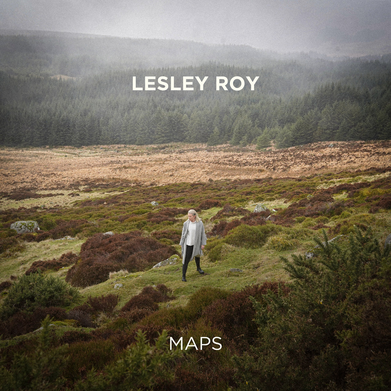 Lesley Roy Maps cover artwork