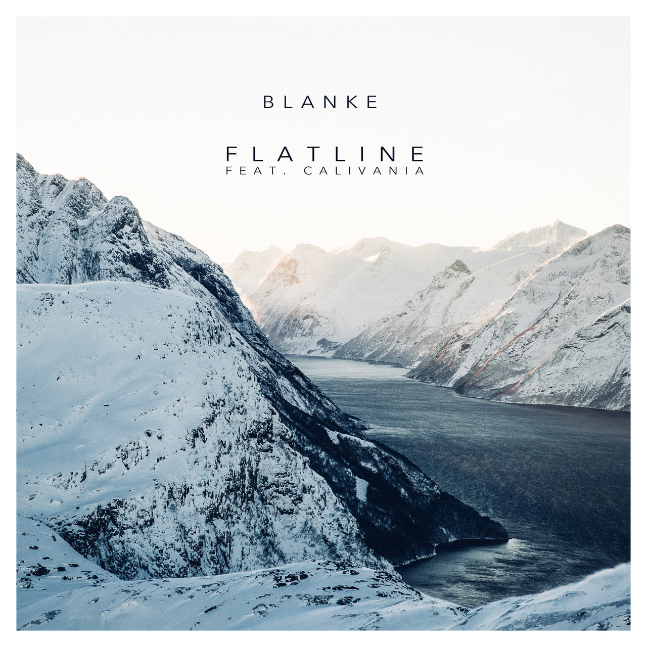Blanke ft. featuring Calivania Flatline cover artwork