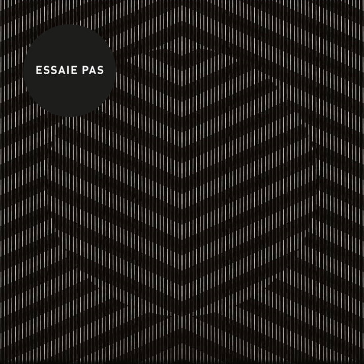 Essaie Pas — Danse Sociale cover artwork