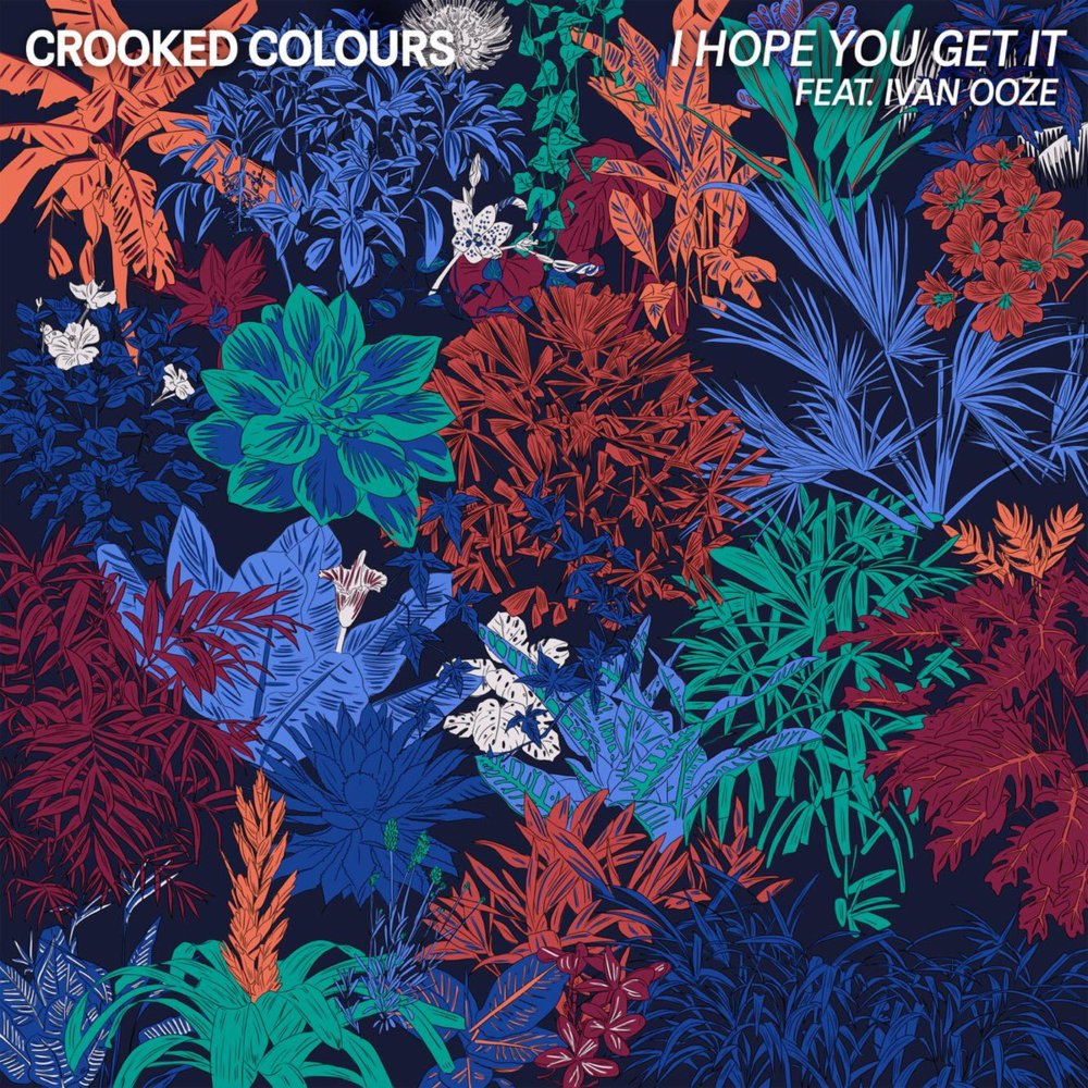 Crooked Colours featuring Ivan Ooze — I Hope You Get It cover artwork