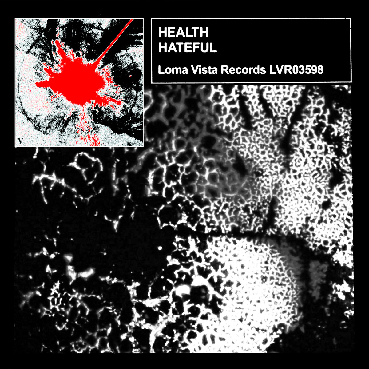 HEALTH featuring SIERRA — Hateful cover artwork