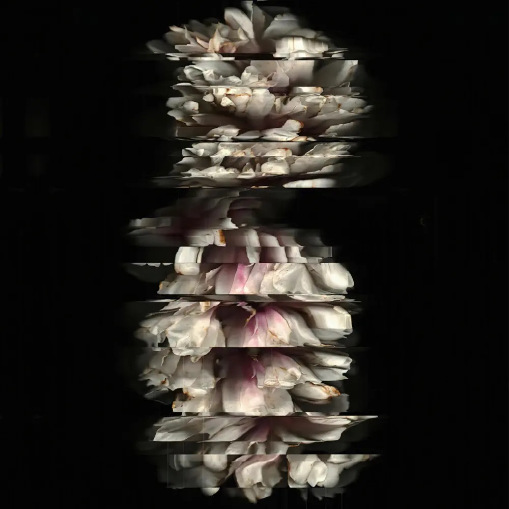 BLACKSHAPE Blackshape cover artwork