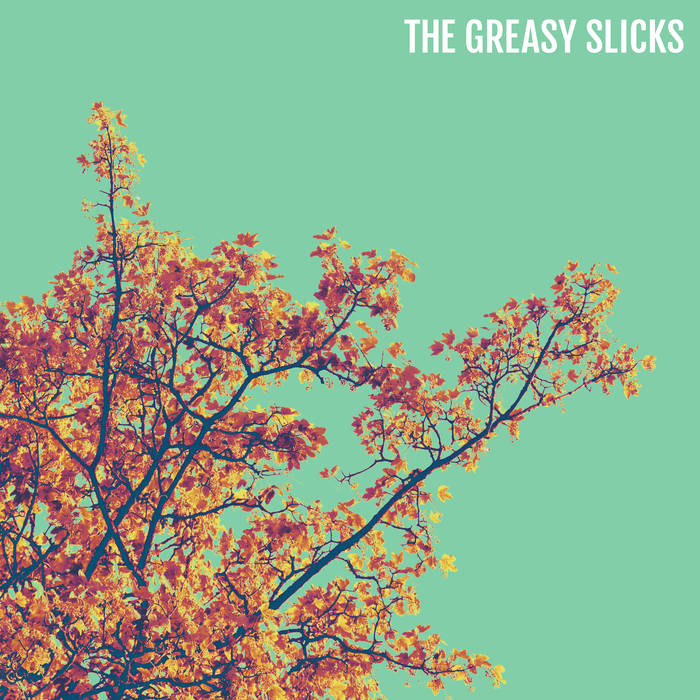 The Greasy Slicks — Hawks cover artwork