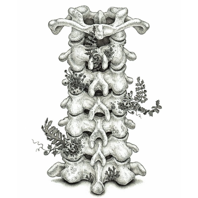 Ai Haguchi — Itterasshai cover artwork