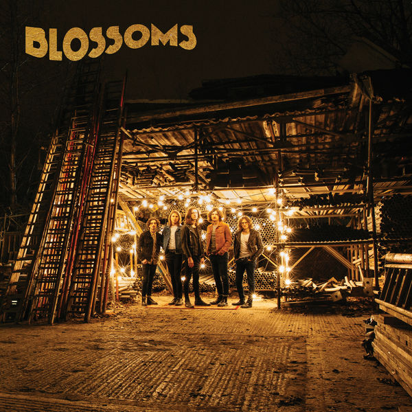 Blossoms — Texia cover artwork