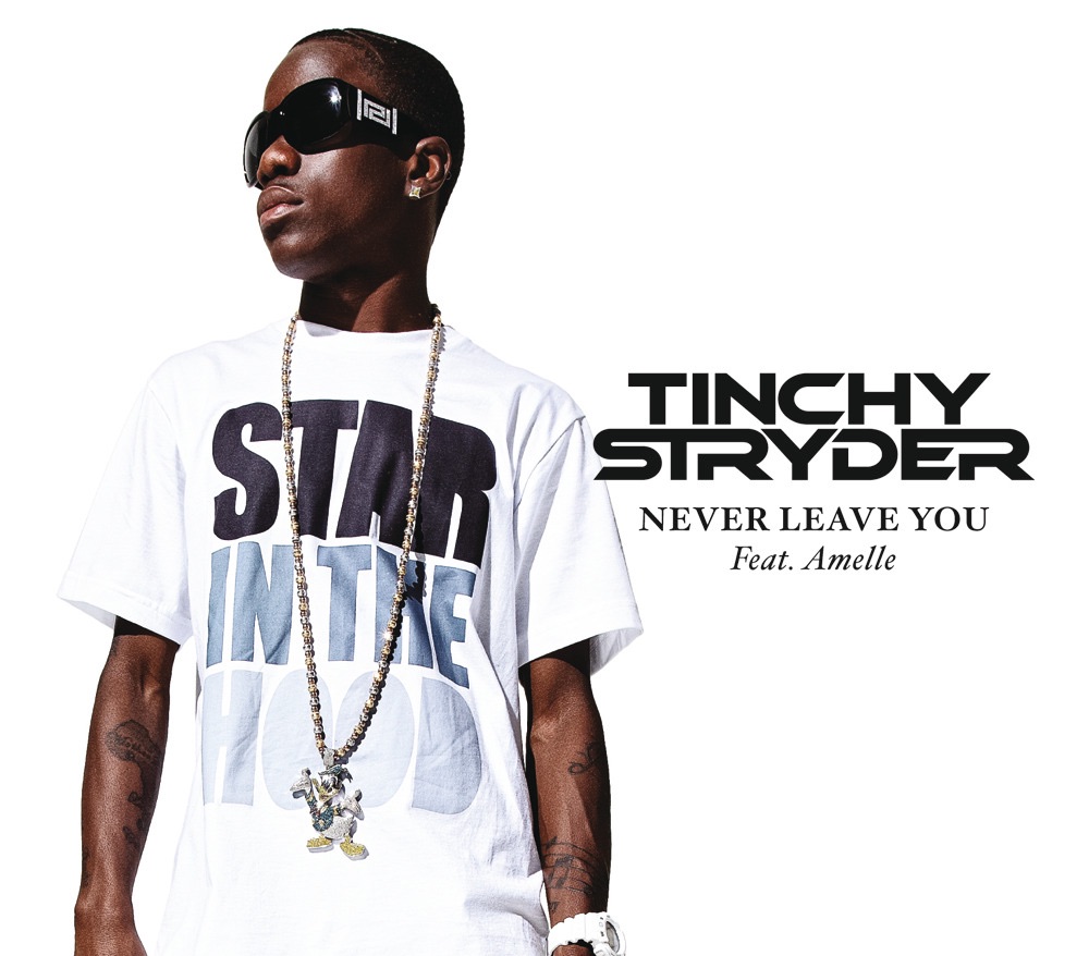 Tinchy Stryder featuring Amelle — Never Leave You cover artwork
