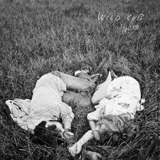Wild Cub Youth cover artwork