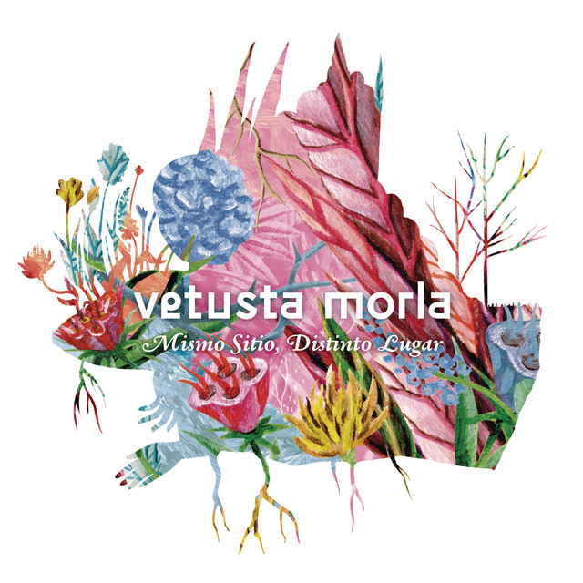 Vetusta Morla Mismo Sitio, Distinto Lugar cover artwork