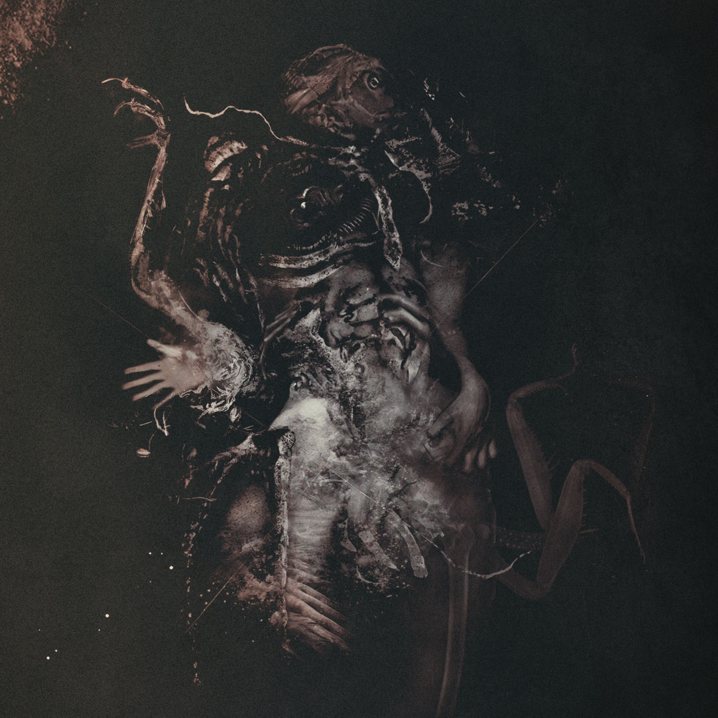 Hasard — Choral Inane cover artwork