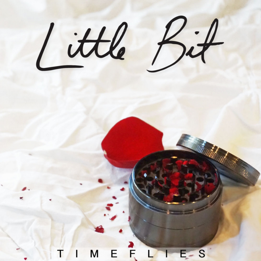 Timeflies — Little Bit cover artwork