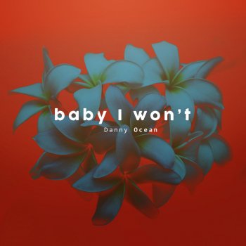 Danny Ocean — Baby I Won&#039;t cover artwork