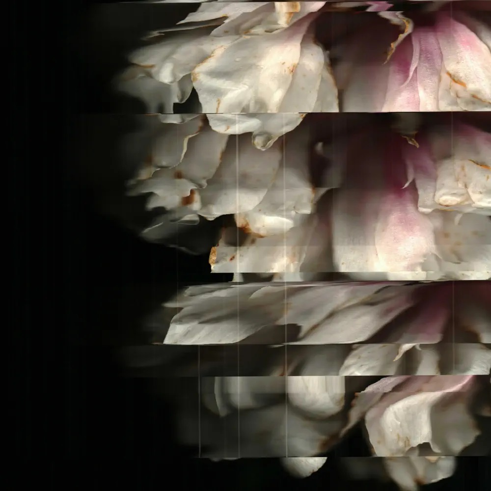BLACKSHAPE — ITIIITIATIIHYLIHYL cover artwork