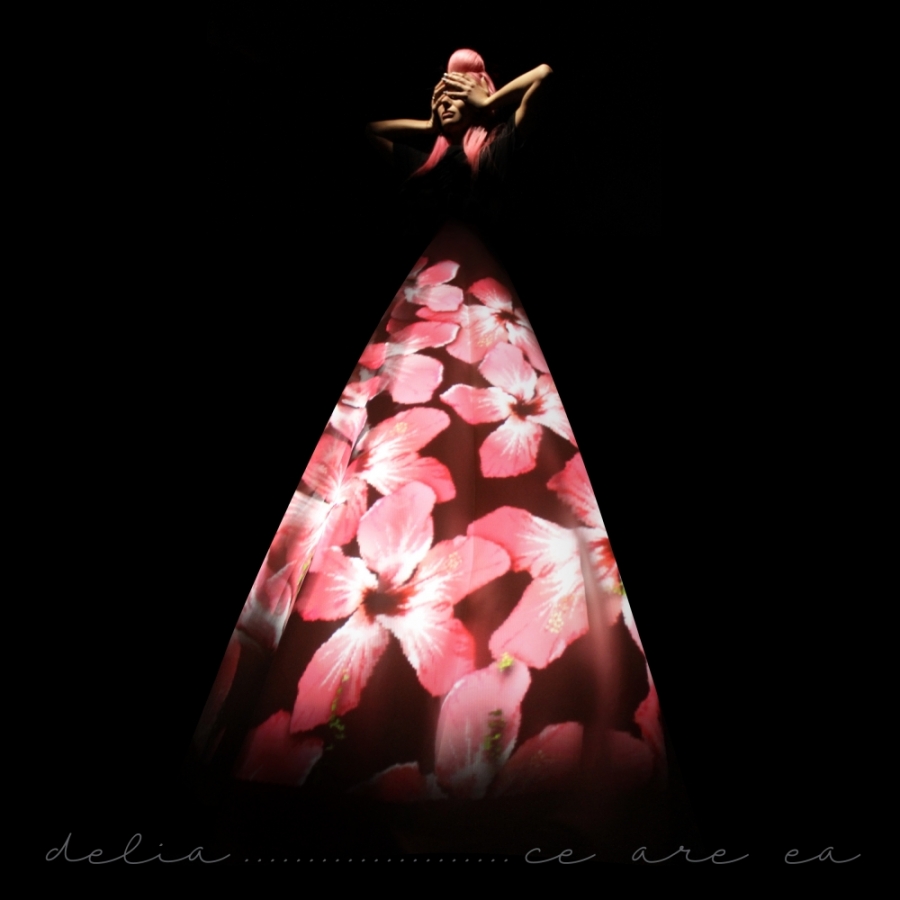 Delia — Ce Are Ea cover artwork