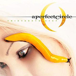 A Perfect Circle Thirteenth Step cover artwork