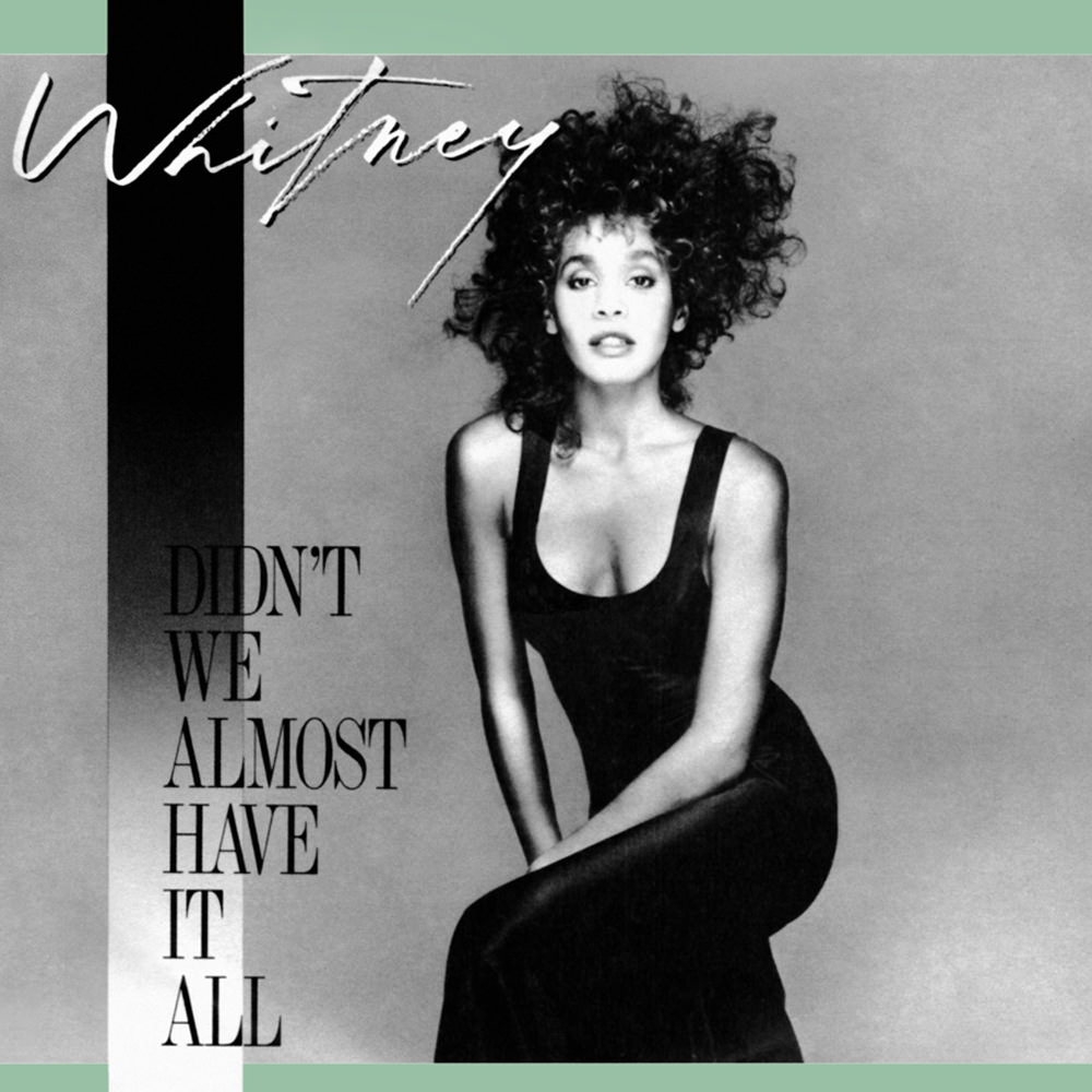 Whitney Houston — Didn&#039;t We Almost Have It All cover artwork