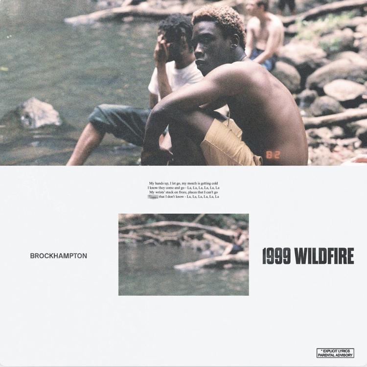 BROCKHAMPTON 1999 WILDFIRE cover artwork