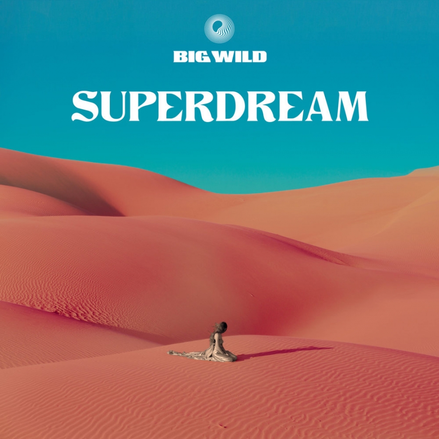 Big Wild — Maker cover artwork