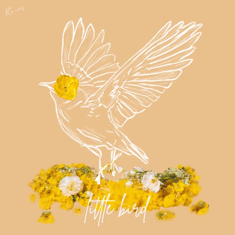 RINES — Little Bird cover artwork