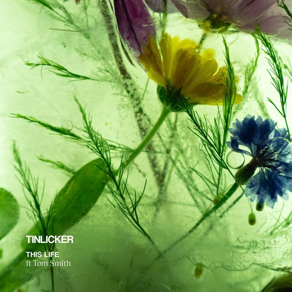 Tinlicker featuring Tom Smith — This Life cover artwork