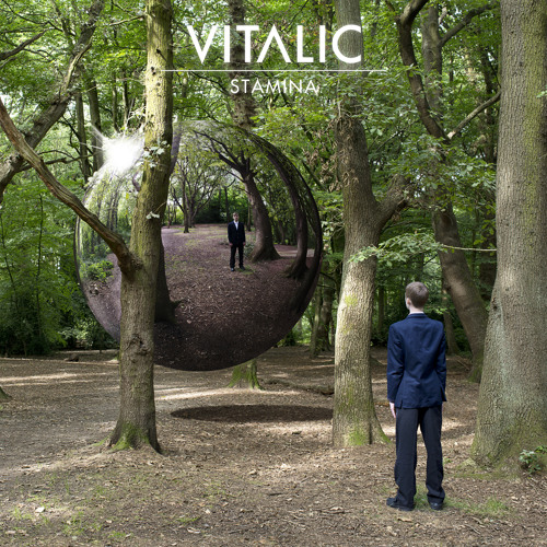 Vitalic Stamina cover artwork