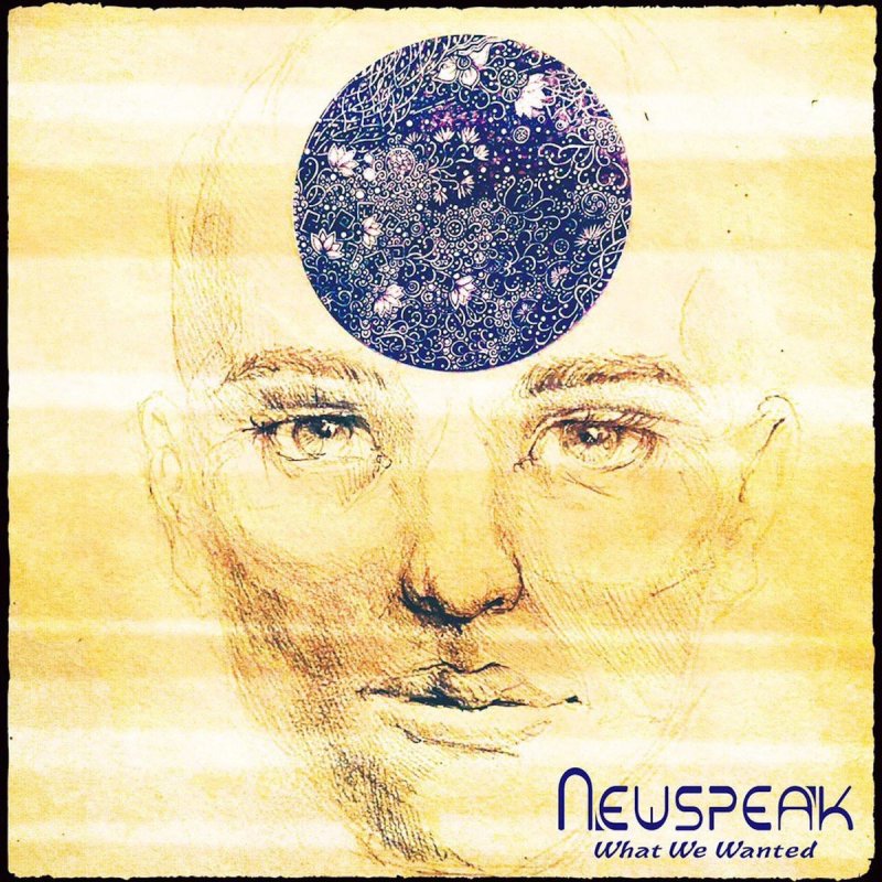 Newspeak — What We Wanted cover artwork