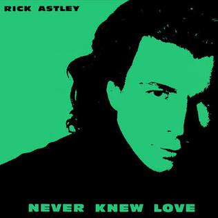 Rick Astley Never Knew Love cover artwork