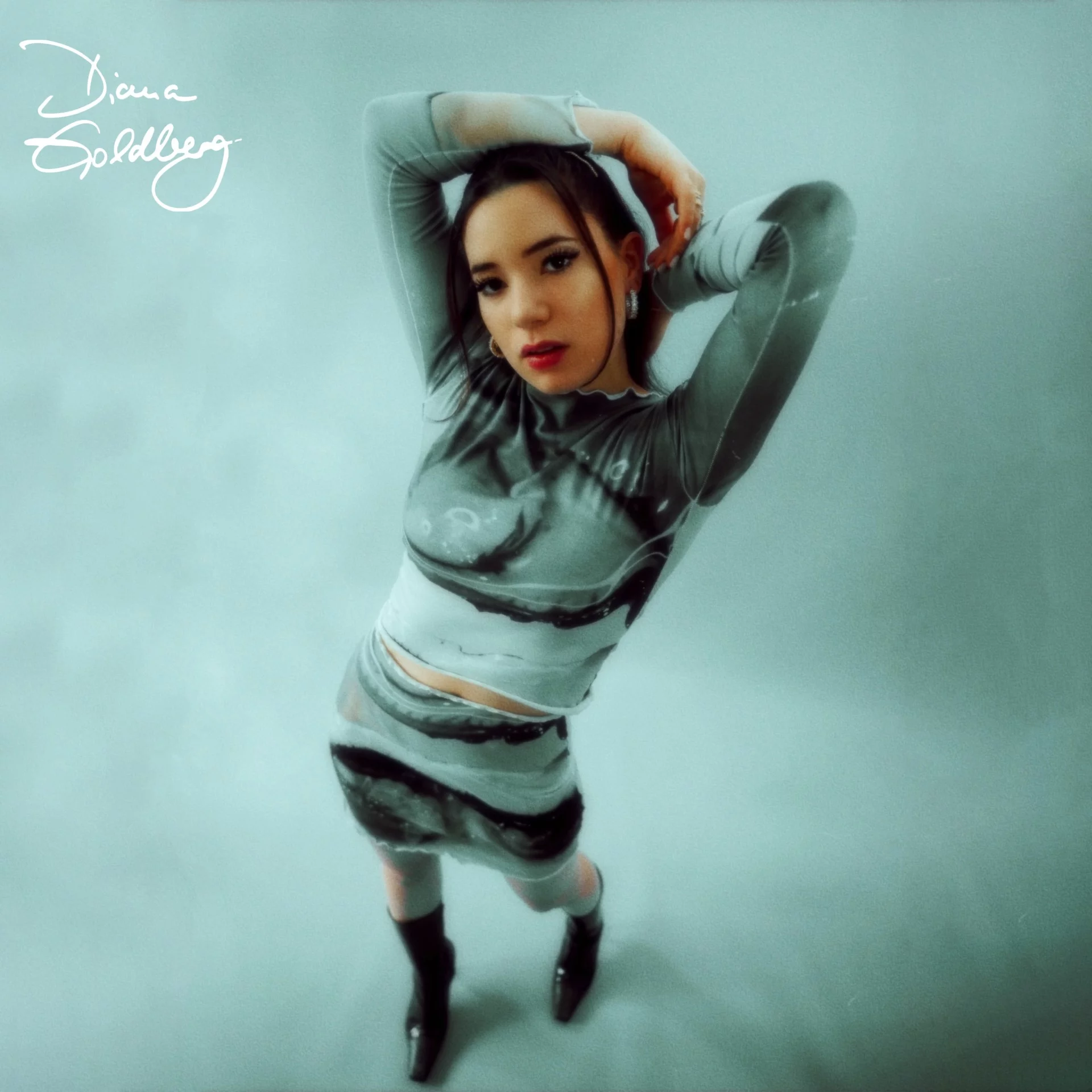 Diana Goldberg — WHO NEEDS ENEMIES cover artwork