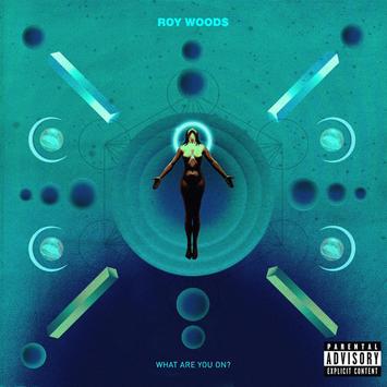 Roy Woods What Are You On? cover artwork