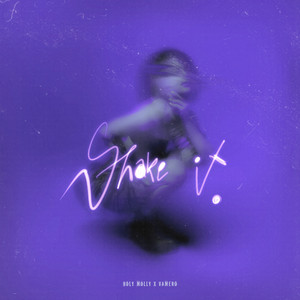Holy Molly & Vamero — Shake It cover artwork