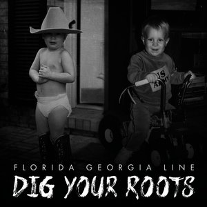 Florida Georgia Line ft. featuring Ziggy Marley Life Is A Honeymoon cover artwork