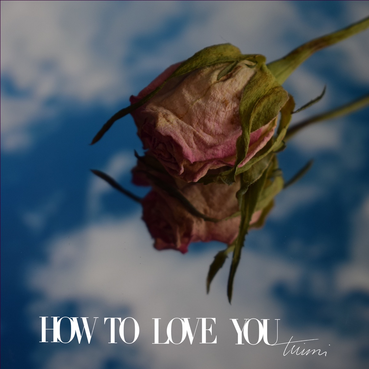 tuimi — How To Love You cover artwork