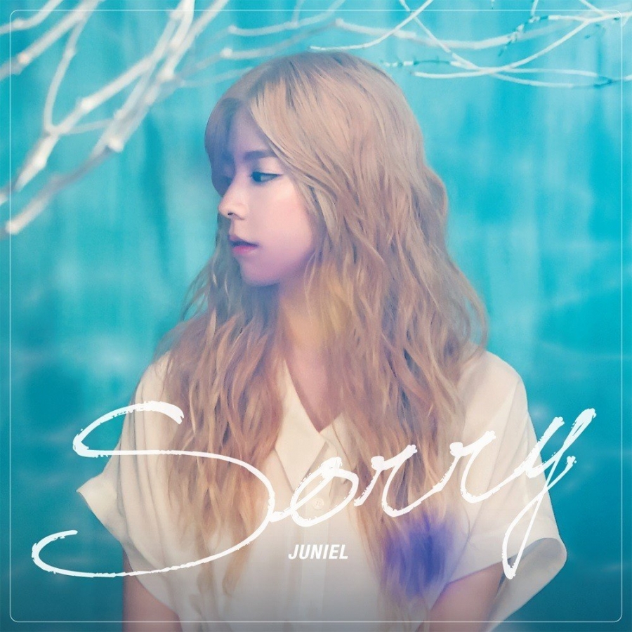 Juniel — Sorry cover artwork
