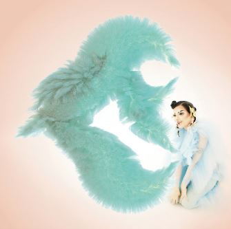 Björk — Blissing Me cover artwork
