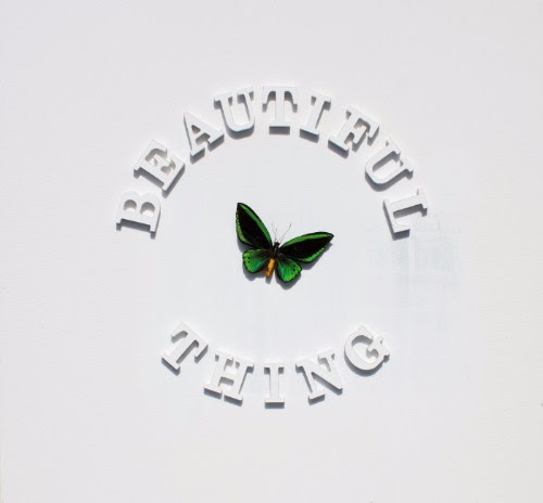 The Stone Roses Beautiful Thing cover artwork