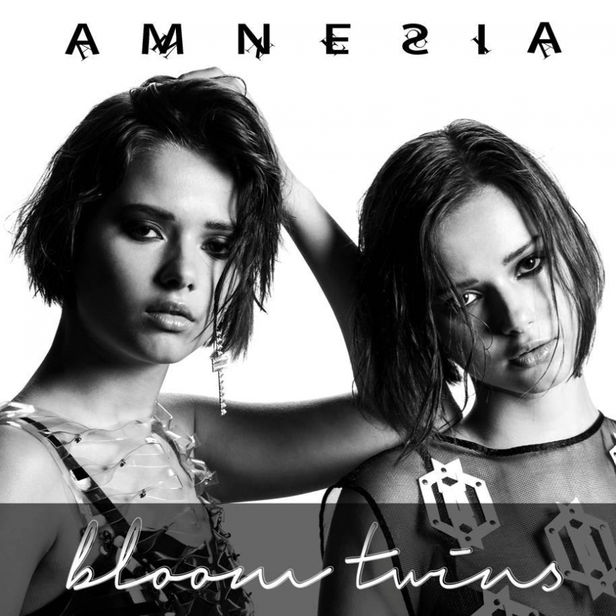 Bloom Twins — Amnesia cover artwork