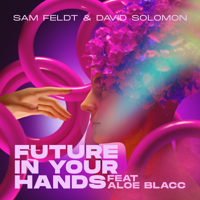 Sam Feldt & David Solomon ft. featuring Aloe Blacc Future in Your Hands cover artwork